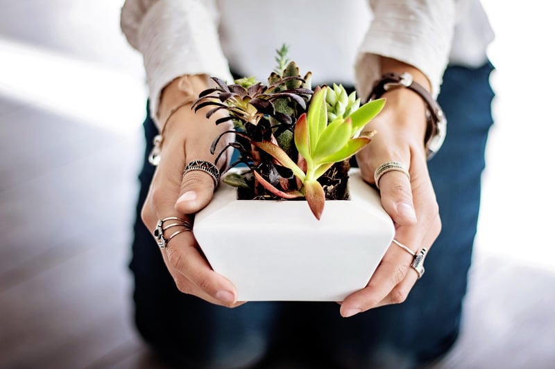 Tiered Plant Stand